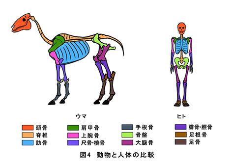 貴人|貴人(ウマヒト)とは？ 意味や使い方